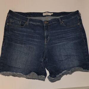 Torrid Jean Shorts Size 26